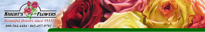 Knight's Florist. Located at 397 North Main Street in Clinton, Tennessee. 800-564-4484. Servicing Oak Ridge, Lake City, Norris, Clinton, and surrounding areas.