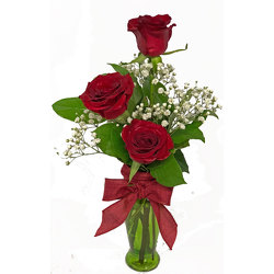 Striking Roses in Bud Vase from your local Clinton,TN florist, Knight's Flowers
