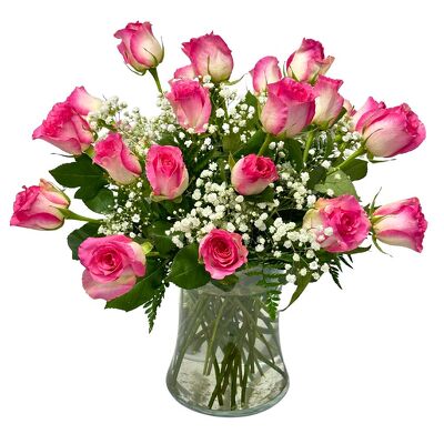 24 Creamy 'Malibu'  Roses from your local Clinton,TN florist, Knight's Flowers