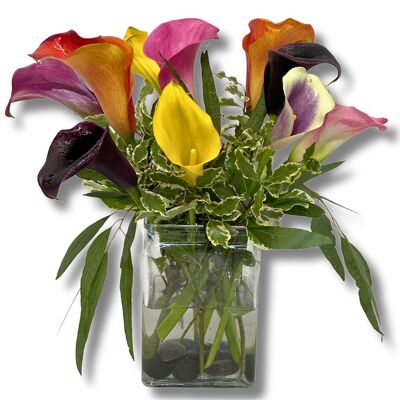 Colorful Callas from your local Clinton,TN florist, Knight's Flowers