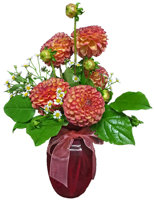 Dizzy Dahlais from your local Clinton,TN florist, Knight's Flowers