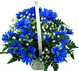 Crazy Daisy Basket from your Clinton, TN florist