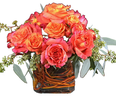 Orange Splash from your local Clinton,TN florist, Knight's Flowers
