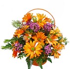/images/480CDlg.jpg Crazy Daisy Basket from your Clinton, TN florist