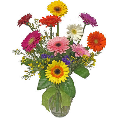 Razzle Dazzle Gerbera Daisies from your local Clinton,TN florist, Knight's Flowers