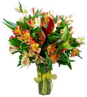 /images/480alstroemerialg.jpg Fancy Alstroemeria Bouquet from your Clinton, TN florist