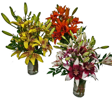 Radiant Lilies Bouquet from your local Clinton,TN florist, Knight's Flowers
