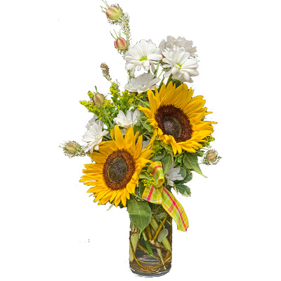 Sunflower Festival from your local Clinton,TN florist, Knight's Flowers