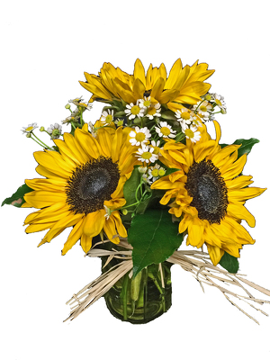 Country Sunflowers Bouquet from your local Clinton,TN florist, Knight's Flowers