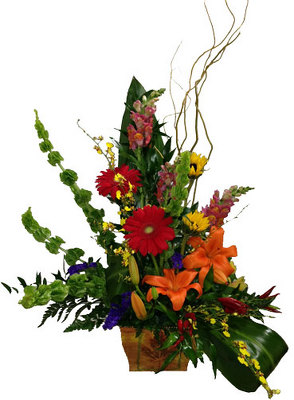 Simply Elegant from your local Clinton,TN florist, Knight's Flowers