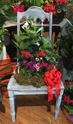 Chair Garden from your local Clinton,TN florist, Knight's Flowers