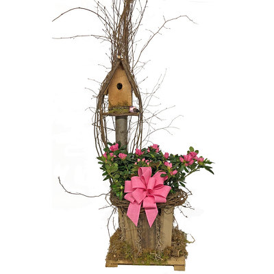 Single Bird House Planter from your local Clinton,TN florist, Knight's Flowers