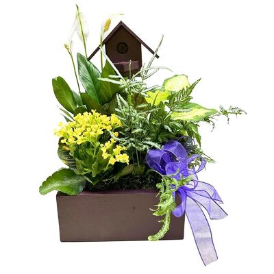 Colorful Birdhouse Planter from your local Clinton,TN florist, Knight's Flowers