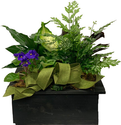 Wooden Box Planter from your local Clinton,TN florist, Knight's Flowers