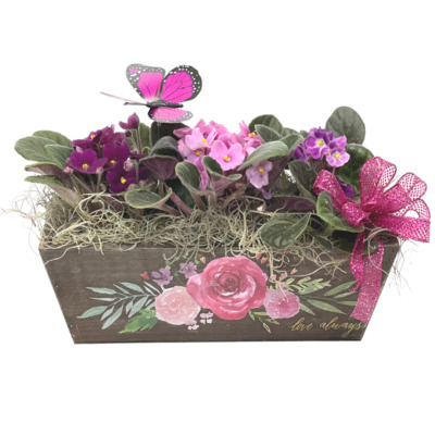 Mom's African Violet Planter from your local Clinton,TN florist, Knight's Flowers