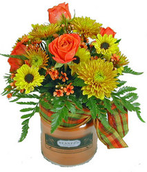 Autumn Flowers & Fragrance