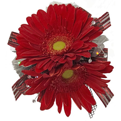 Dainty Daisies Wrist Corsage from your local Clinton,TN florist, Knight's Flowers