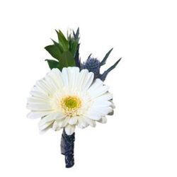 Gerber Boutonniere from your local Clinton,TN florist, Knight's Flowers
