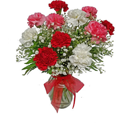 Dozen Carnations Arranged  from your local Clinton,TN florist, Knight's Flowers