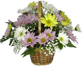 Everyday Basket from your Clinton, TN florist