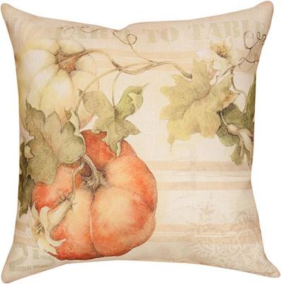 Pumpkin Pillow from your local Clinton,TN florist, Knight's Flowers