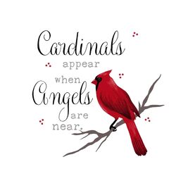 Cardinals Appear Quilt from your local Clinton,TN florist, Knight's Flowers