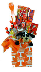 Go Vols Gift Bag