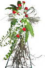 Grapevine Cross