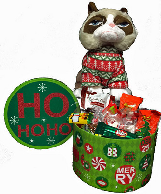 Grumpy Cat Christmas Sweater Sweet Treats from your local Clinton,TN florist, Knight's Flowers