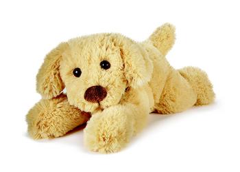 Mini Scruffy Puppies