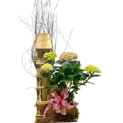Hydrangea Birdhouse  from your local Clinton,TN florist, Knight's Flowers