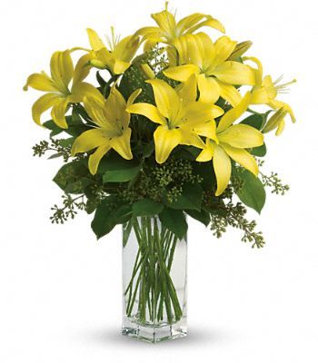 Lily Sunshine from your local Clinton,TN florist, Knight's Flowers