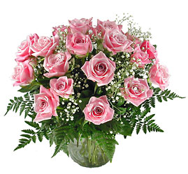 2 Dozen Faith Roses