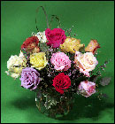 Rainbow Roses