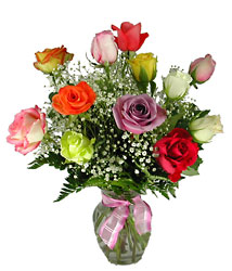 Rainbow Roses