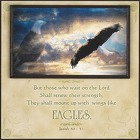Isaiah 40:31 Eagle Picture
