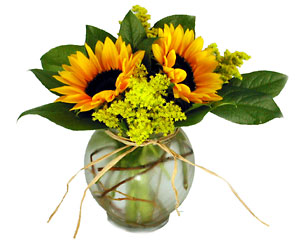 Sassy Sunflowers