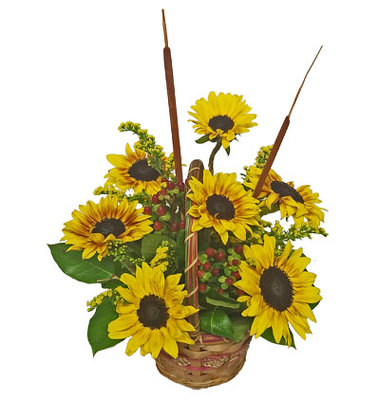 Sunny Sunflower Basket from your local Clinton,TN florist, Knight's Flowers