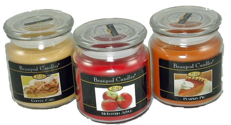 4.5 Oz. Beanpod Candle(Enlarged to show Detail)