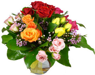 Jewels from your Clinton, TN florist