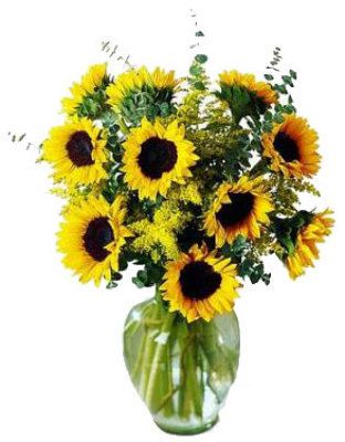 Endless Sunflower Bouquet from your local Clinton,TN florist, Knight's Flowers