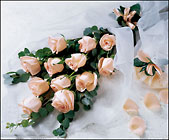 Delightful Dozen