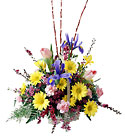 /images/ftd04white/B16-3227lg.jpg FTD Friendly Welcome Arrangement