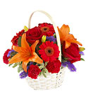 /images/ftd04white/B18-3742lg.jpg FTD Fun in the Sun Basket