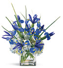 Bountiful Beauty Bouquet