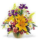 Natural Wonders Bouquet from your Clinton, TN florist