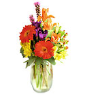 FTD Festival of Color Bouquet