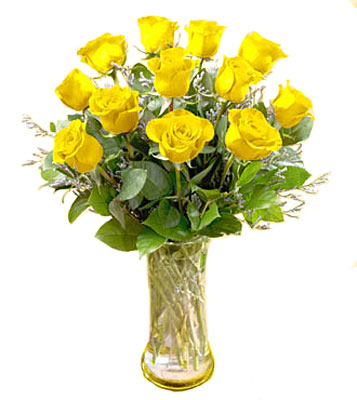 Dozen Long Stemmed Yellow Roses from your local Clinton,TN florist, Knight's Flowers