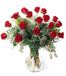 Dozen Long Stemmed Red Roses