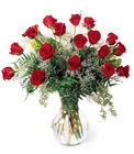 Dozen Long Stemmed Red Roses